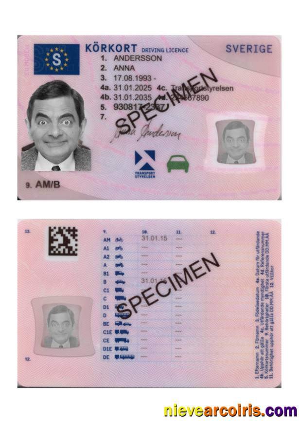 Sweden driving license 2025-present